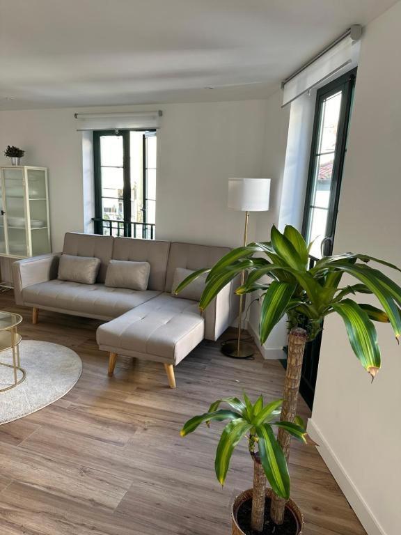 Apartamentos Urbanin II Plaza De San Pedro 库迪列罗 外观 照片
